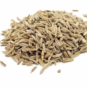 زیره سبز 100 گرمی